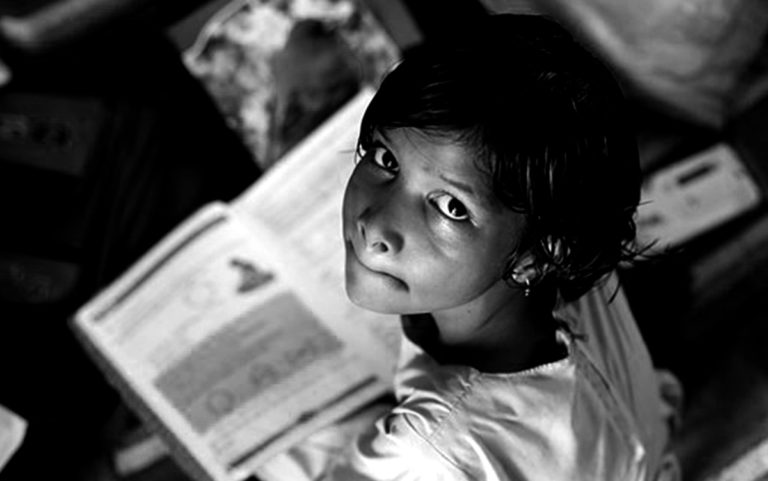 Read more about the article From stasis to evolution